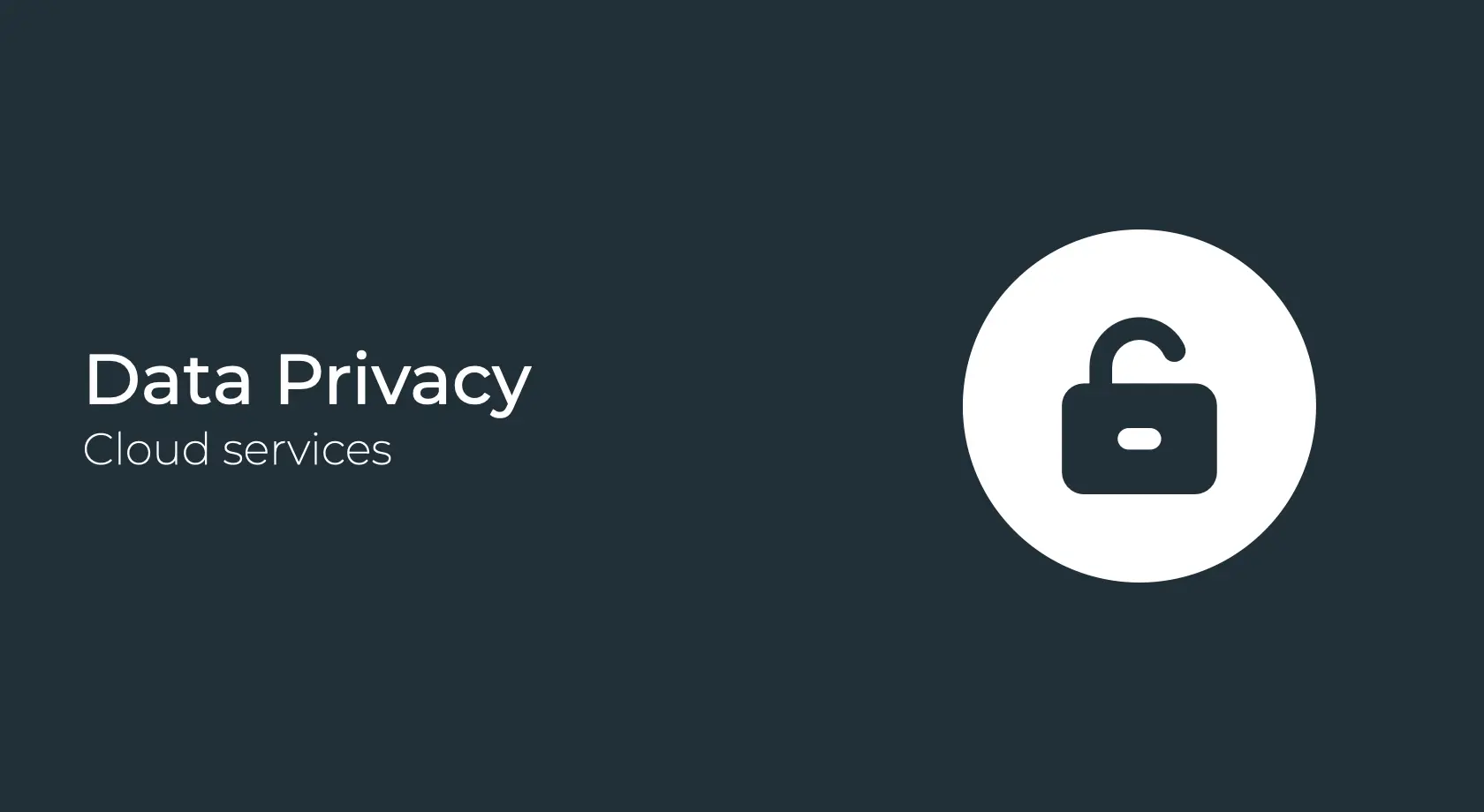 Data Privacy 